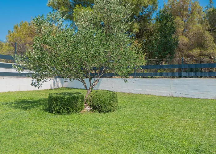 Awesome In With Wifi * שיבניק